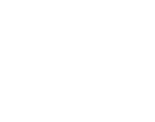 flow image pantallas publciitarias en merida logo blanco