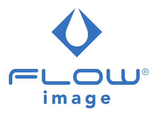 flow image pantallas publciitarias en merida logo